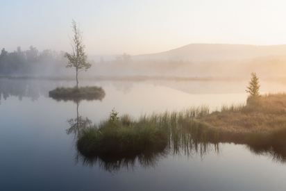 Sunrise in the Bohemian Forest